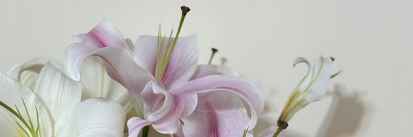 s_samarrr Profile Banner