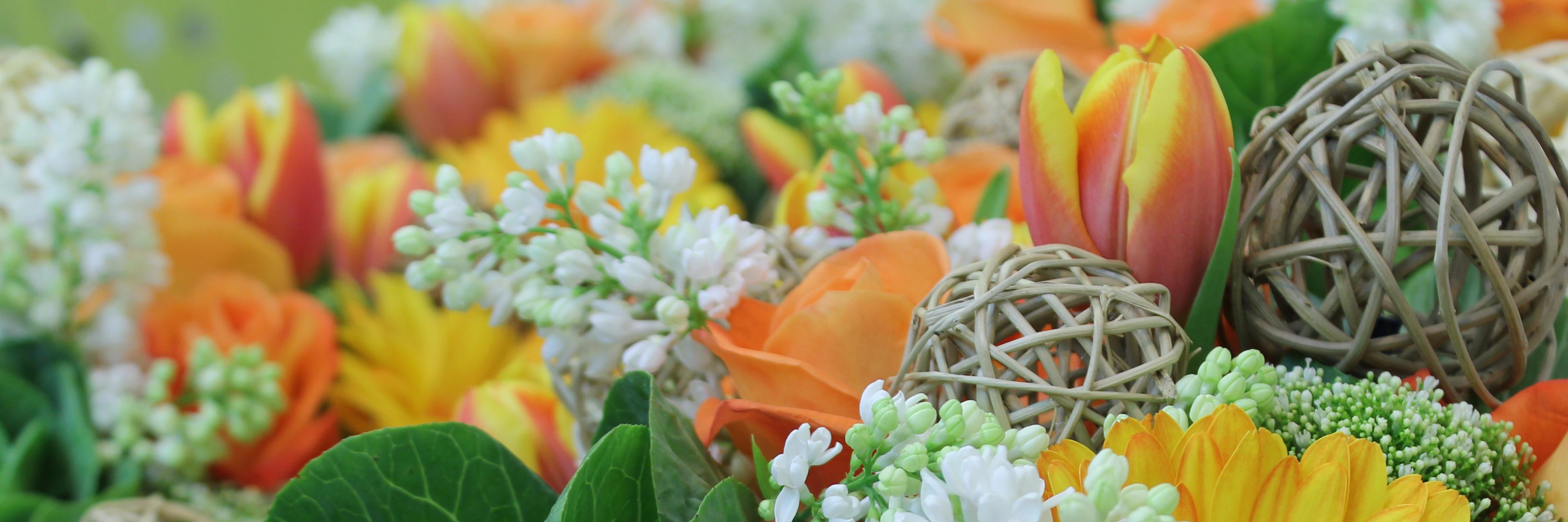 Field_OfFlowers's profile banner image