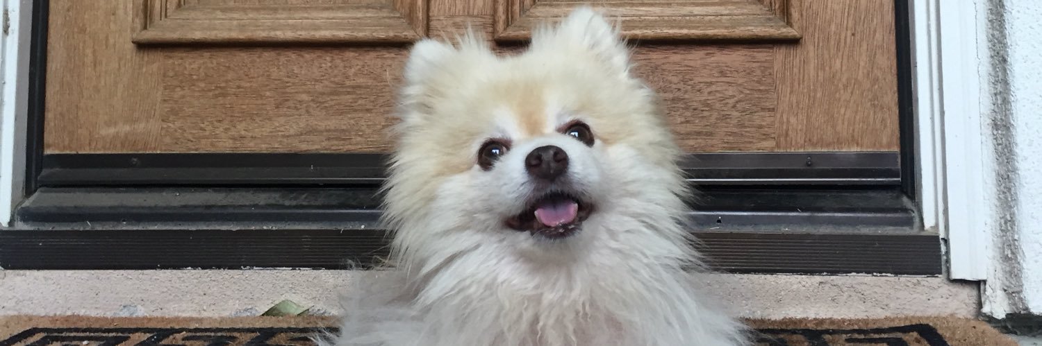 erikitty's profile banner image