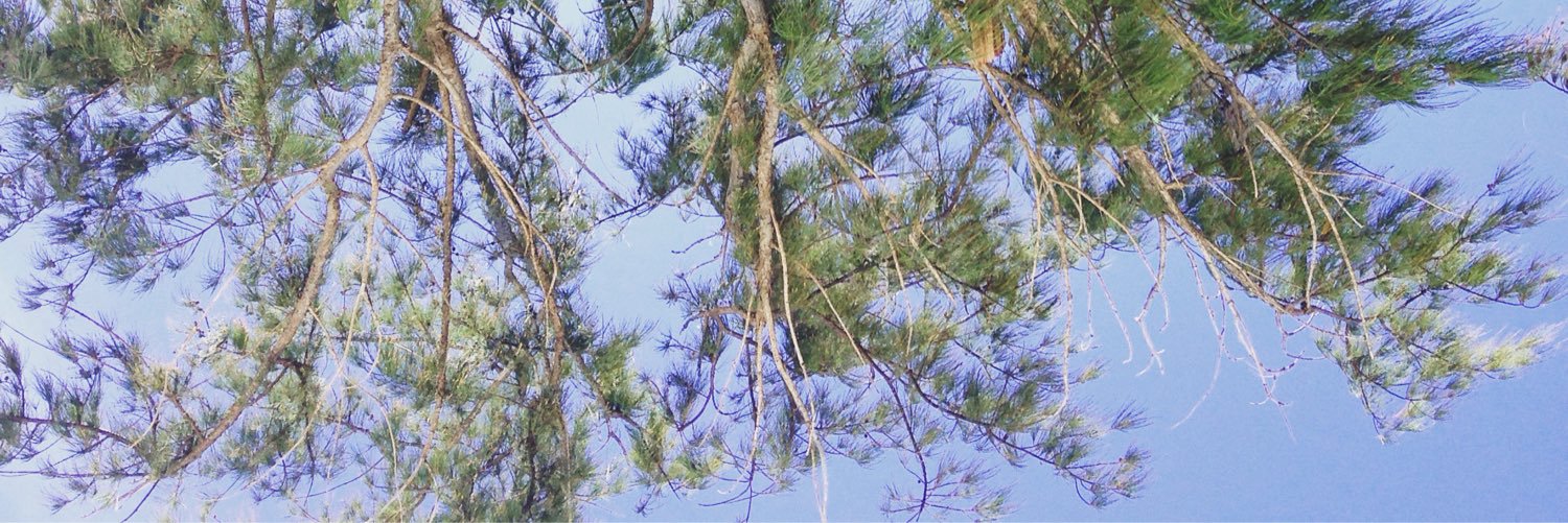 emilyabenton's profile banner image