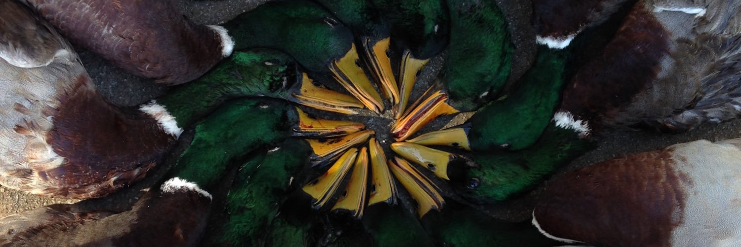 ColeCpowell3's profile banner image