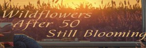 MelanieKBremner's profile banner image