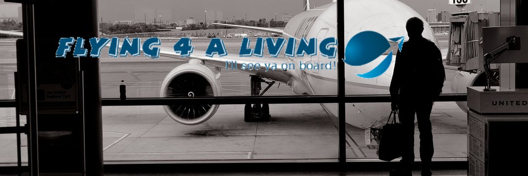 Ben - Flying For A Living banner