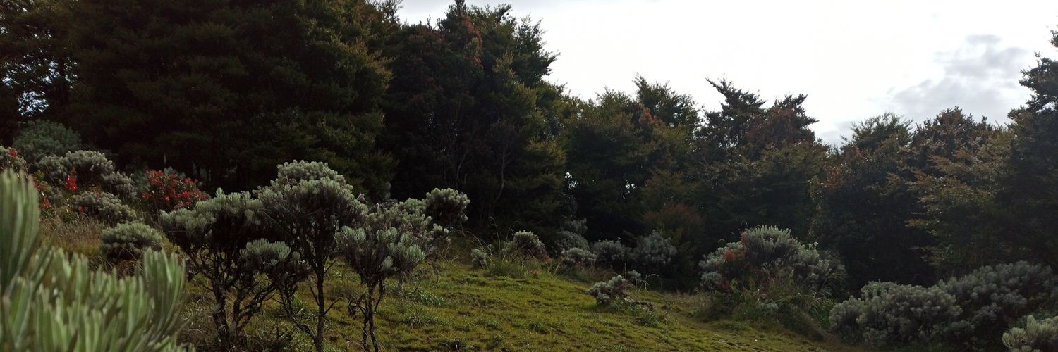 alvinNaries's profile banner image