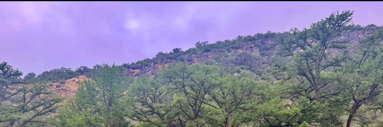 threenidad_'s profile banner image