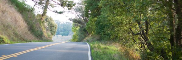 dhylbert Profile Banner