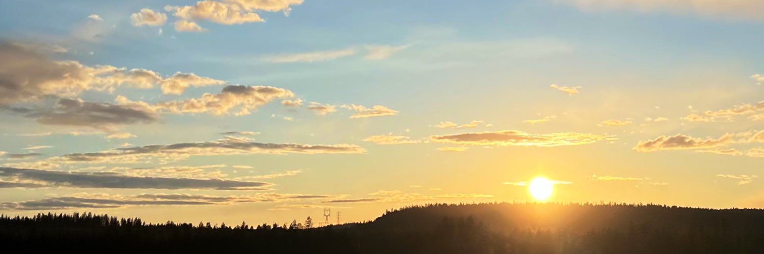 _angelinarae's profile banner image
