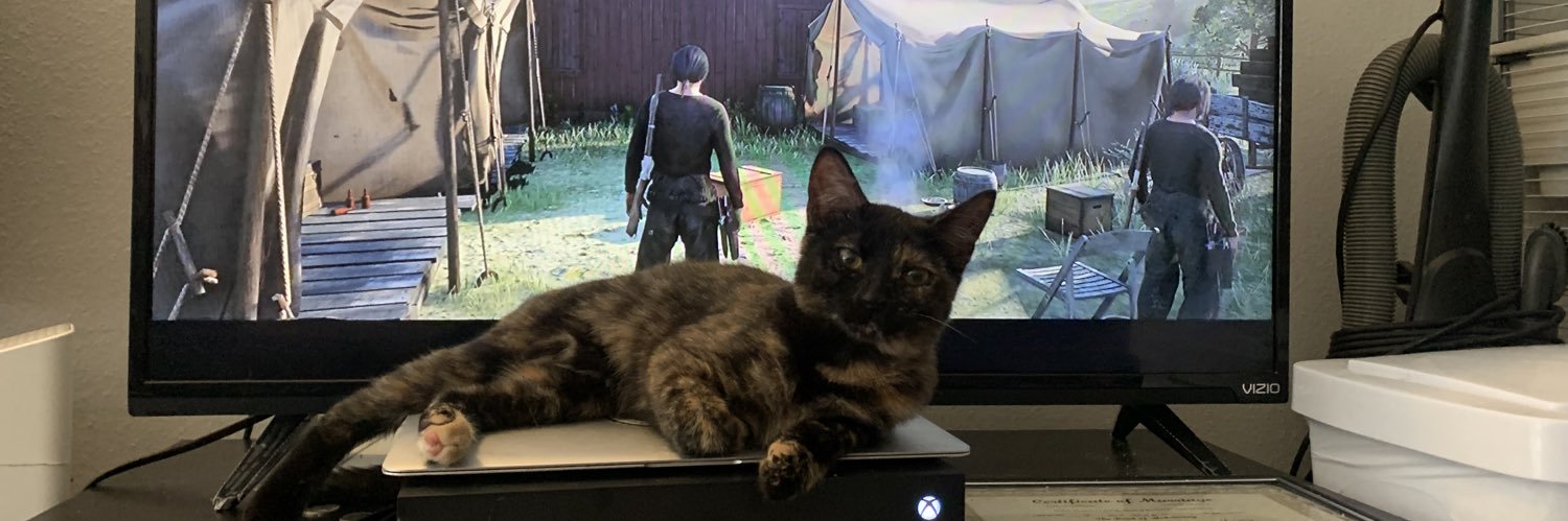 The Gunslinger Trader banner