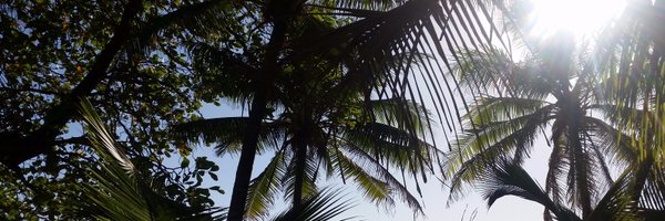 RonaeF Profile Banner