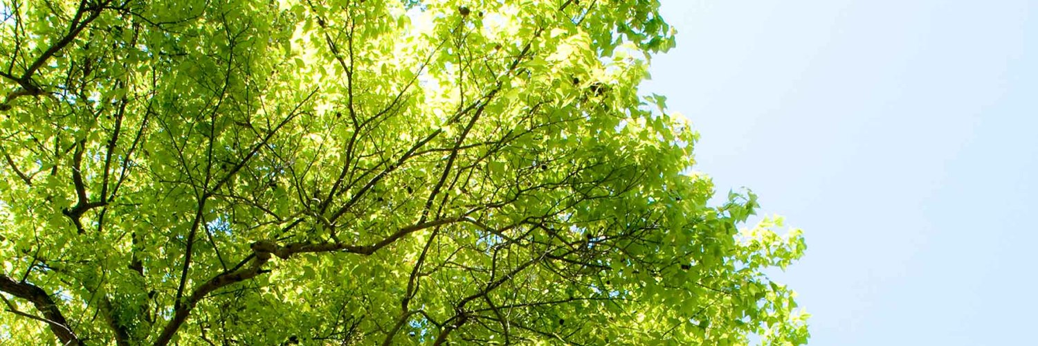 IanHTML's profile banner image