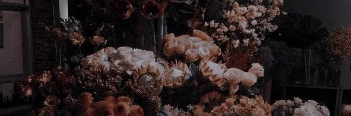 FaustPaige's profile banner image