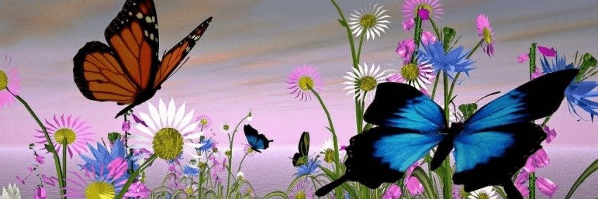 vitiahalliwell's profile banner image