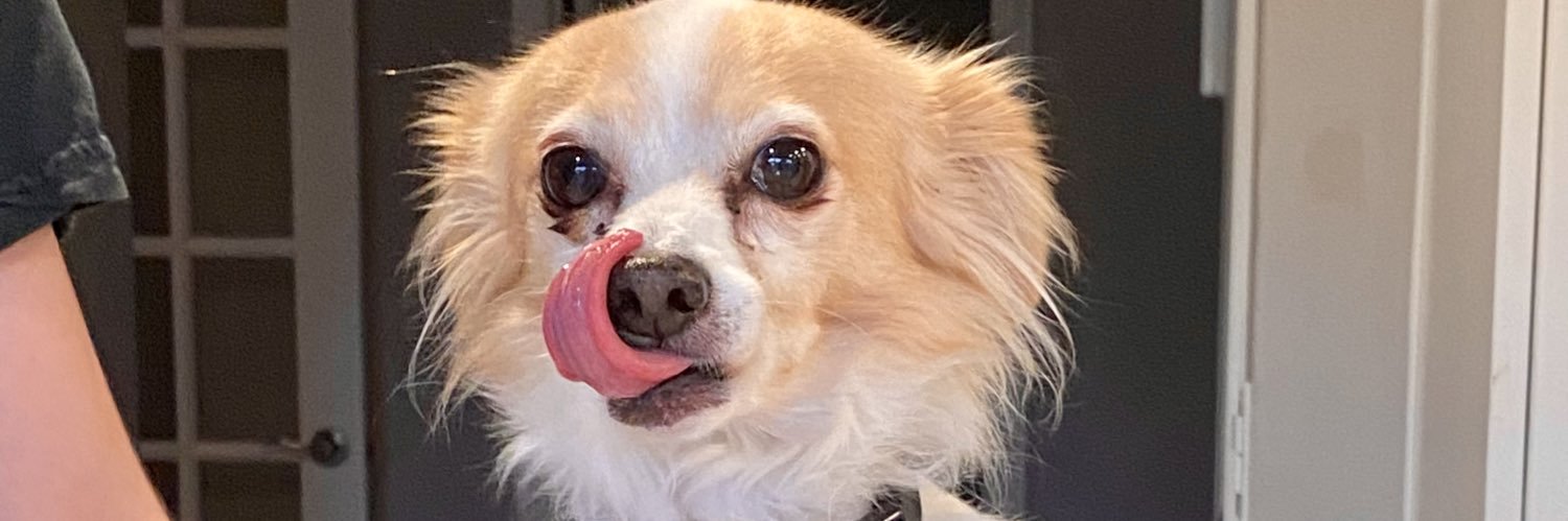 Nano Super Dog banner