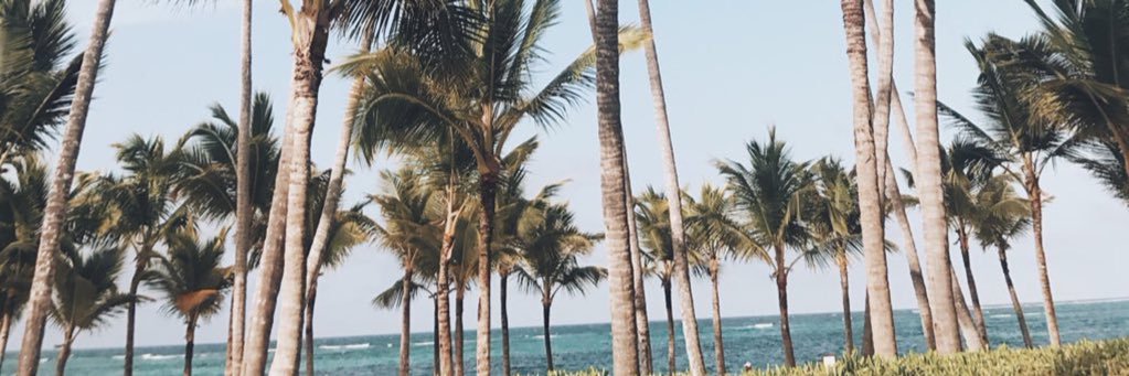 AnaNazarioL's profile banner image