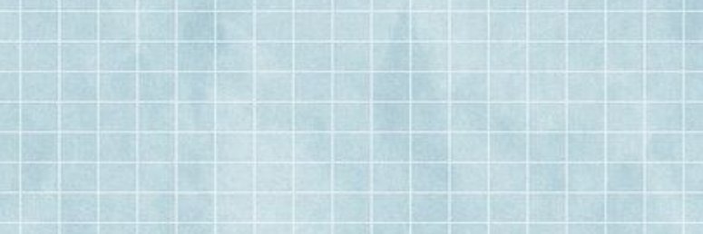 RaccoonStats's profile banner image