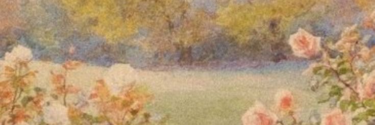 The Modisc banner