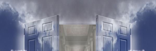 Precambrian Creature banner