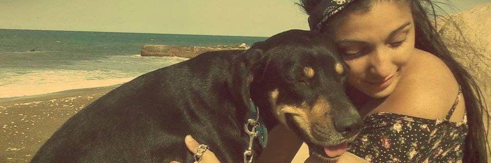 Sherytaa's profile banner image