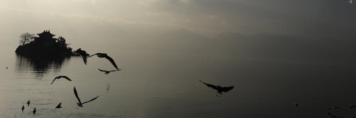 ffromer_btc⚛️ banner