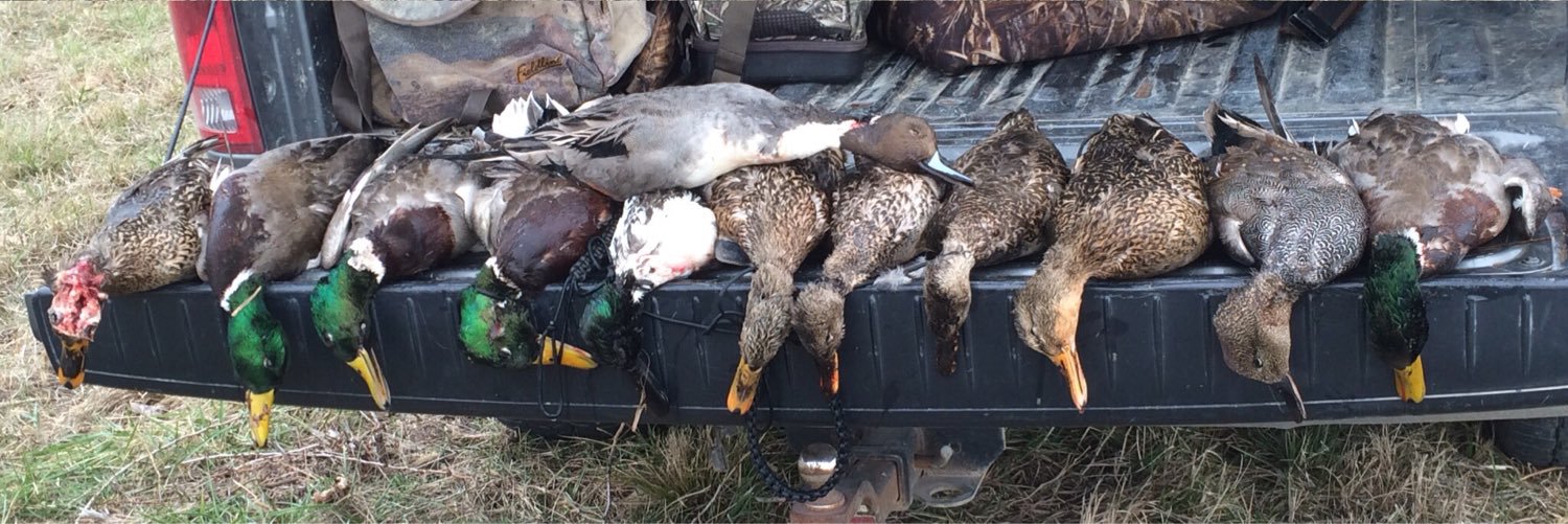 carson_mccord's profile banner image
