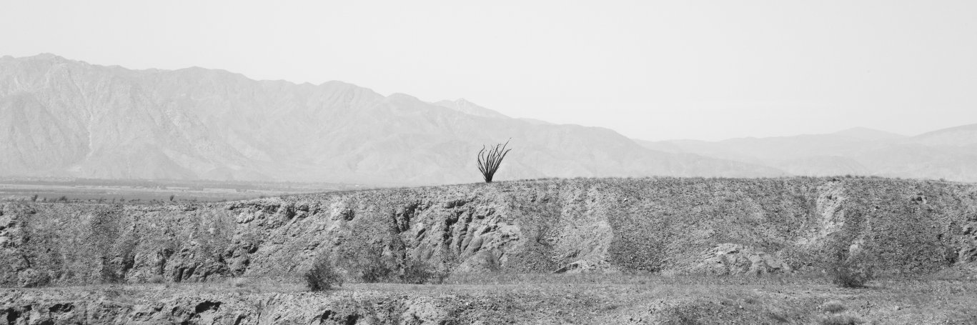 codyel's profile banner image
