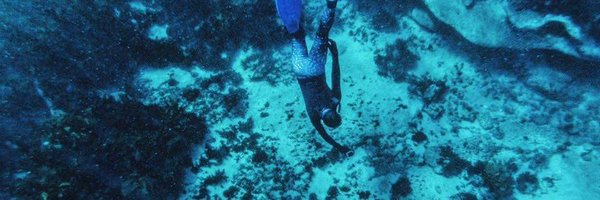 SeaSteffers Profile Banner