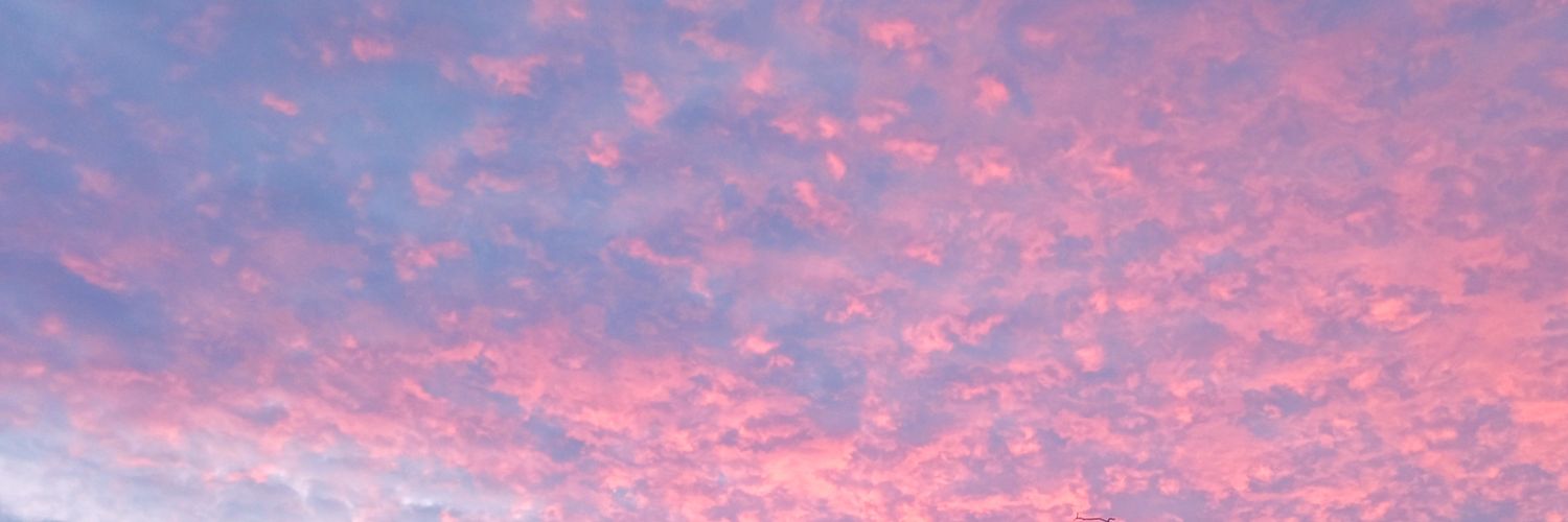 MantannyaShawn's profile banner image