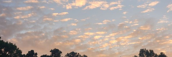 SAMZ373 Profile Banner