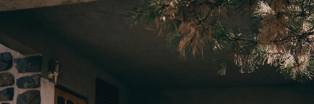 Lucaeiou's profile banner image