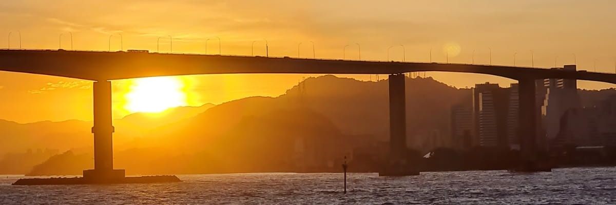flor_murta's profile banner image