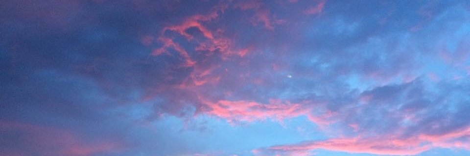 bellaqf's profile banner image