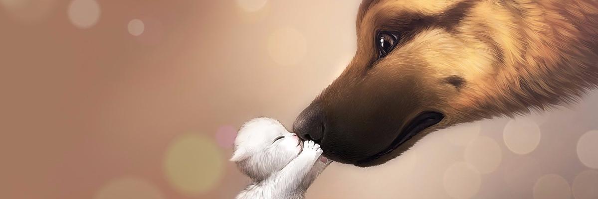Renatacac's profile banner image