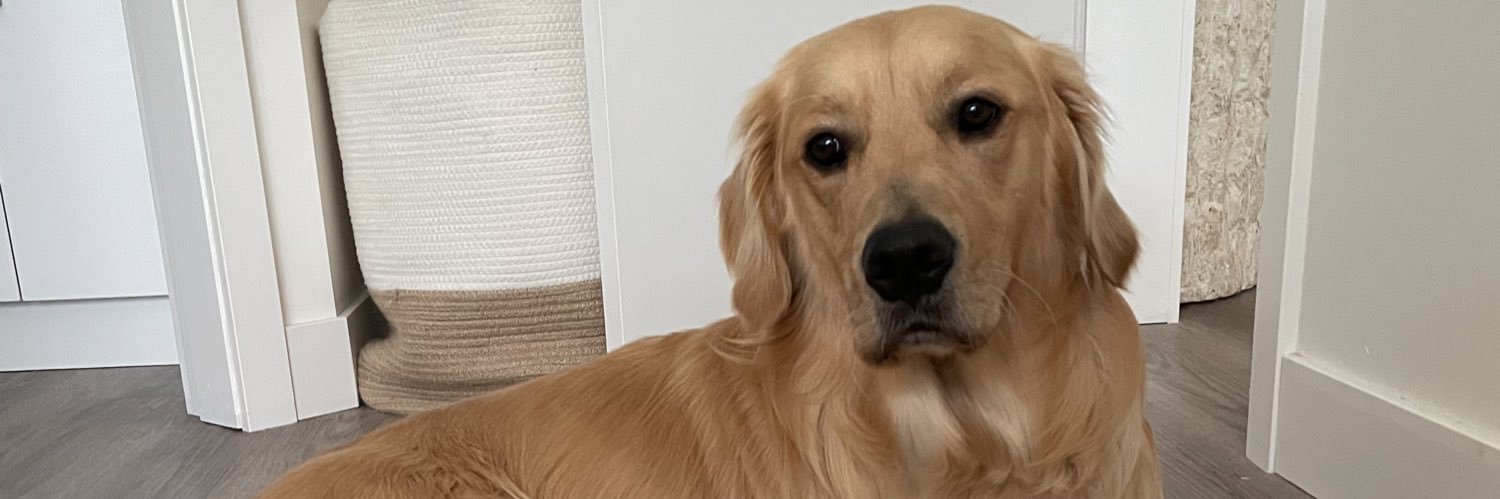megjwatson's profile banner image