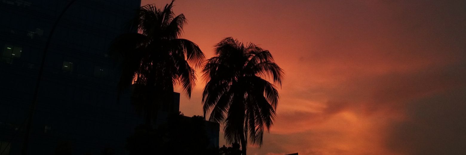 nandaaluna's profile banner image