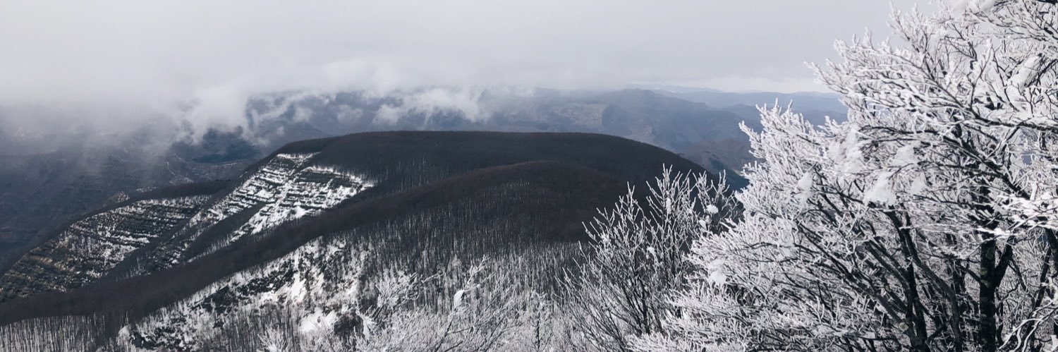 Camilla Ruffilli banner