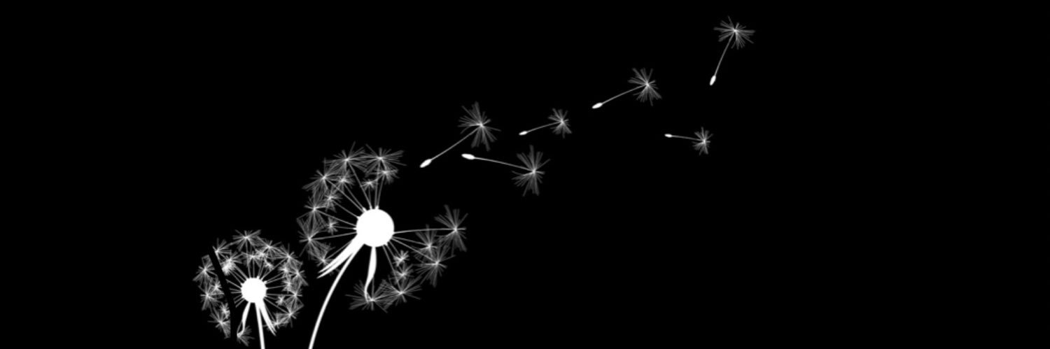 ˚˖𓍢ִ໋🦢˚*𖣔˚ᚠPinew❁❁ds 𖡼.𖤣𖥧𖡼.𖤣𖥧𓍯𓂃𓏧♡ banner