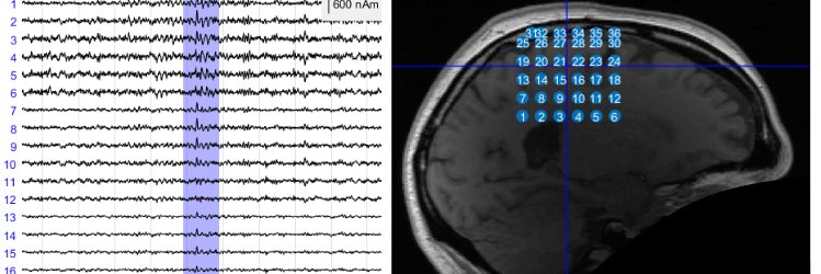 umesh vivekananda banner