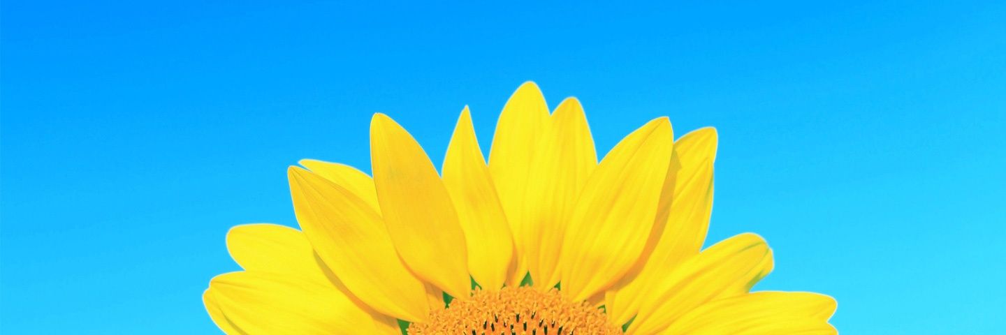 uzm22o's profile banner image