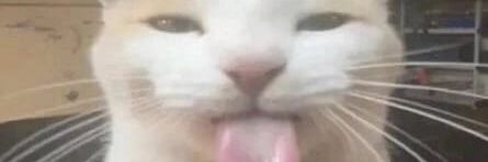AlexNagy107's profile banner image