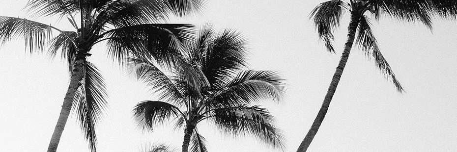 devsakura_'s profile banner image