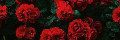 bouquet mawar borax banner