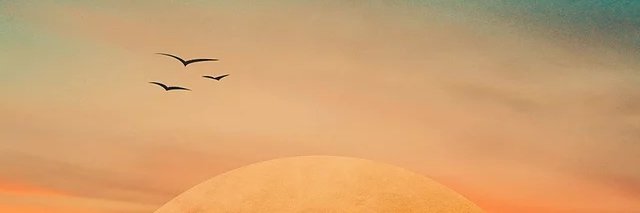 Isaac banner