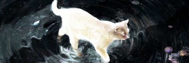 SH🇸🇦 banner