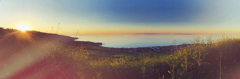 AnnaSky9 🌅🐶 banner