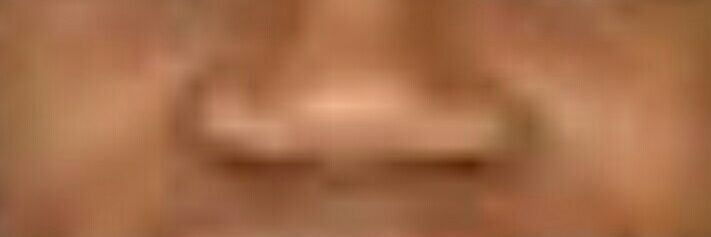 cheesy gordita crunc banner