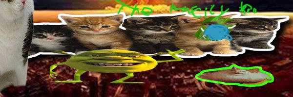 _malavidra Profile Banner