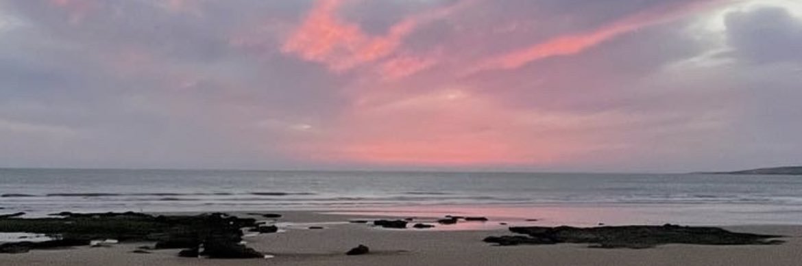 Flo Sandelson banner