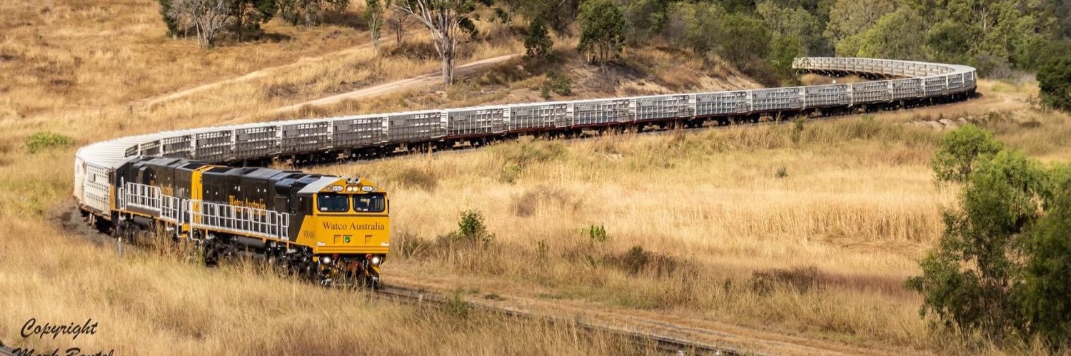 cattle_train's profile banner image