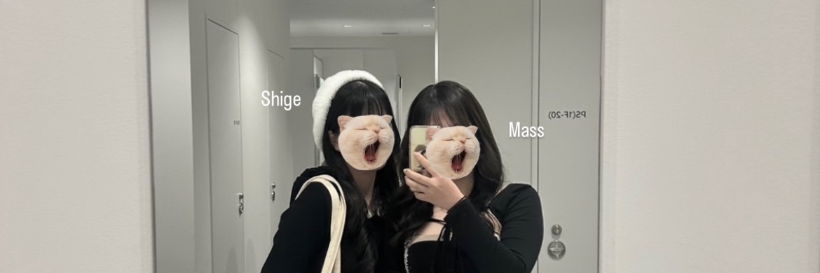 す が banner