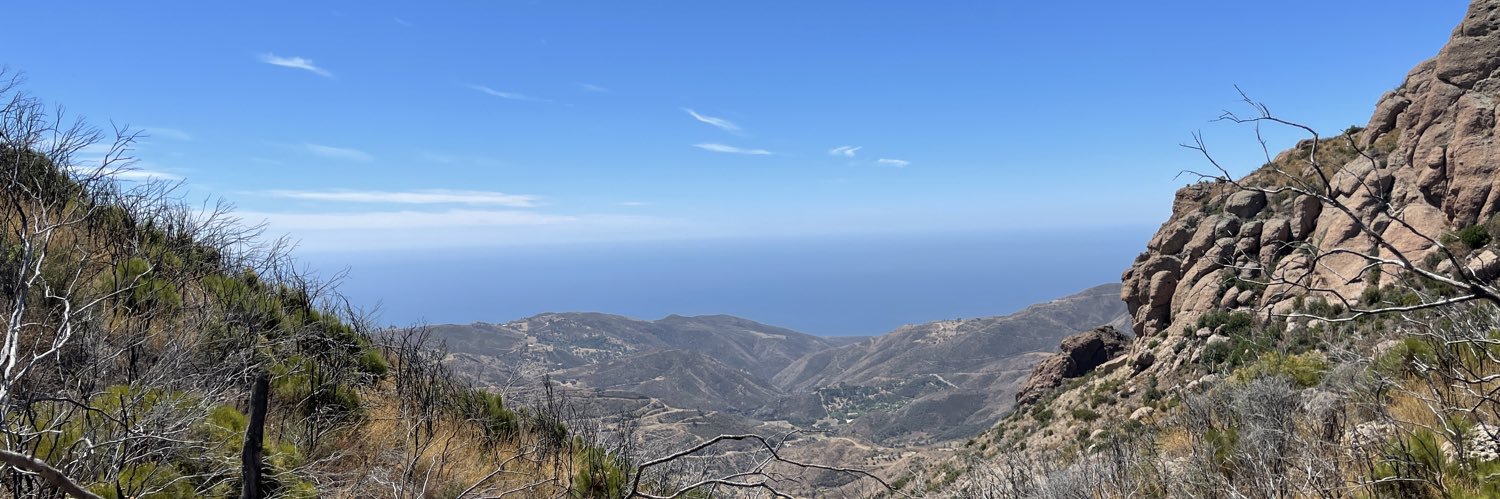 Jack Witthaus banner